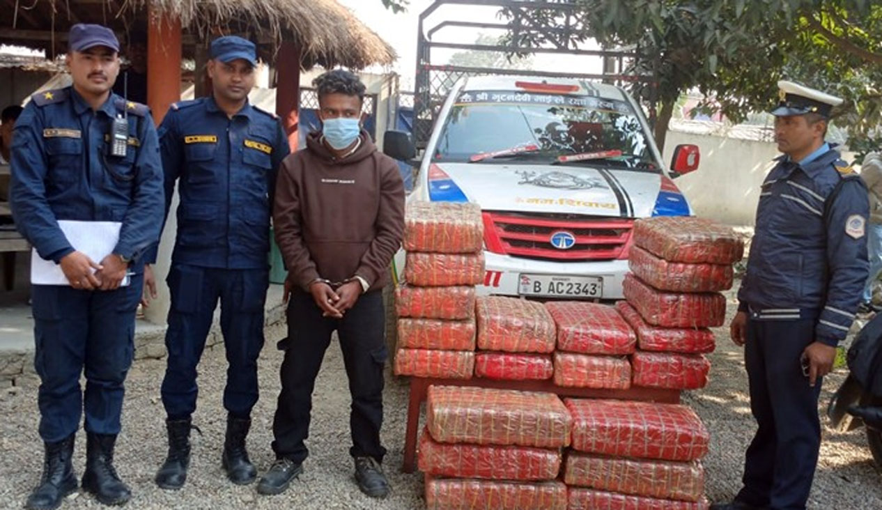 गाडीमा दुई क्विन्टल गाँजा‚ एकजना पक्राउ