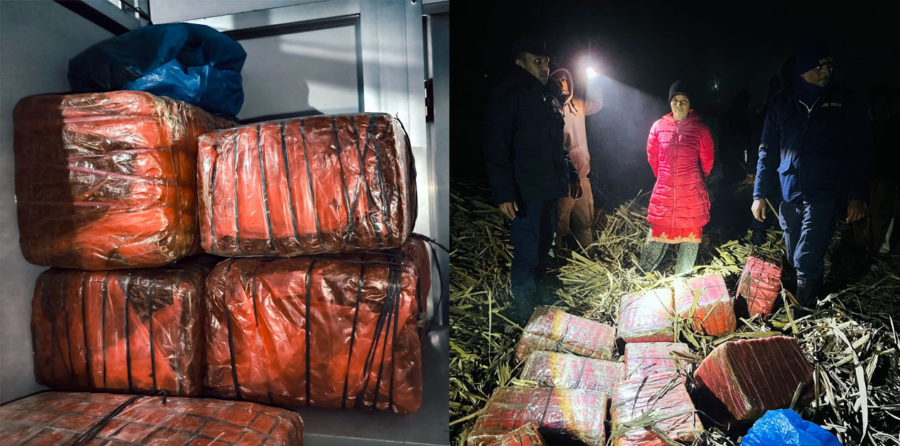 १५७ किलो गाँजासहित छिरिङ दोङ पक्राउ