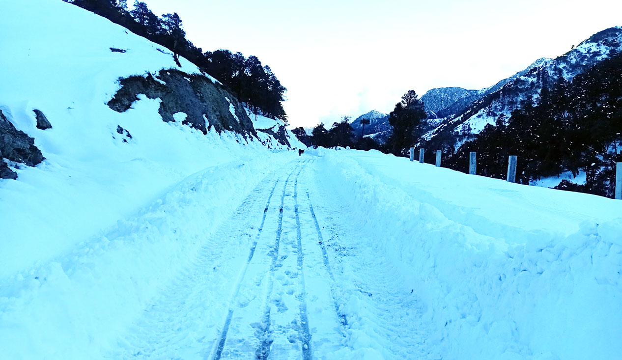 भारी हिमपातका कारण अलपत्र यात्रुको उद्धार