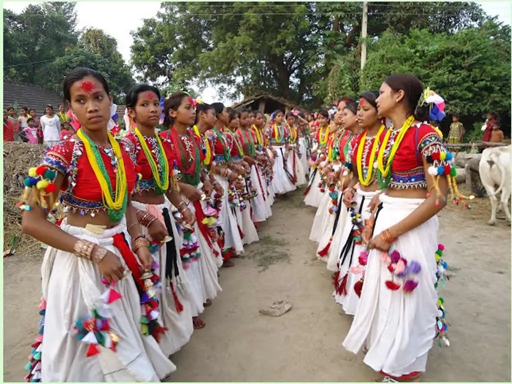बाँकेका थारू बस्तीमा माघीको चहलपहल