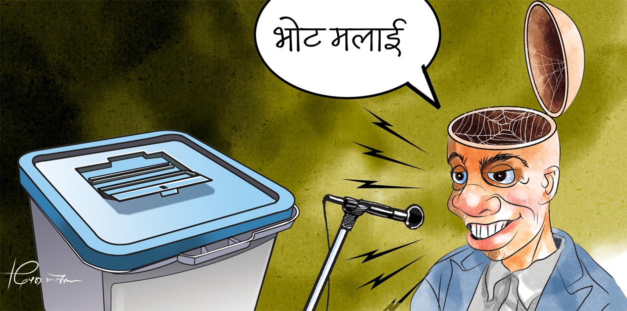 विचारशून्य भीडतन्त्र, संकटमा लोकतन्त्र