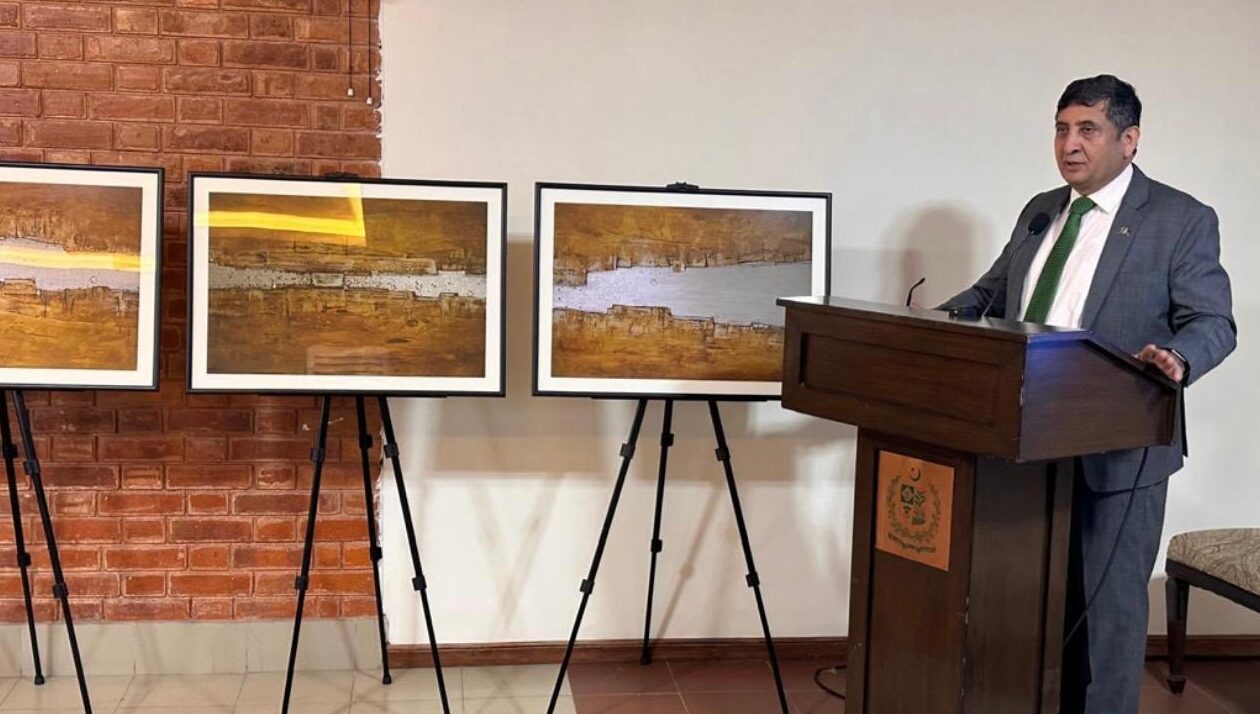 ‘नेपाली कलाकारको चित्रकलामा झल्किएका पाकिस्तानका रङहरू’