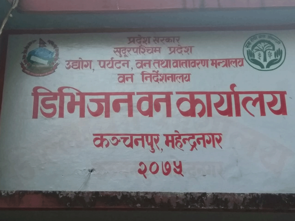 सार्वजनिक क्षेत्रका जोखिमपूर्ण रुख हटाइँदै