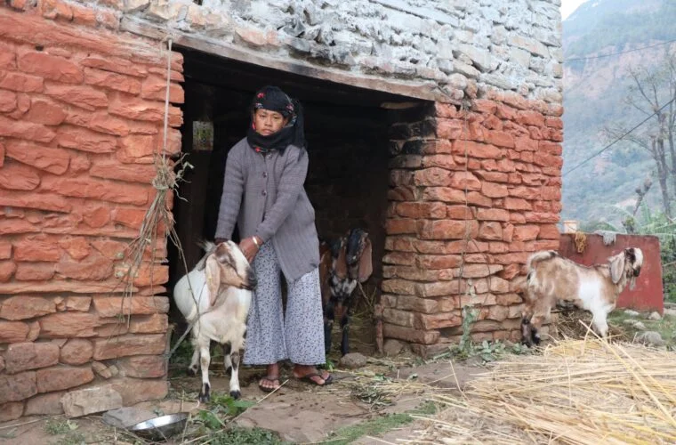 आर्थिक सामाजिक जोखिम व्यवस्थापन सूचना प्रणाली प्रभावकारी