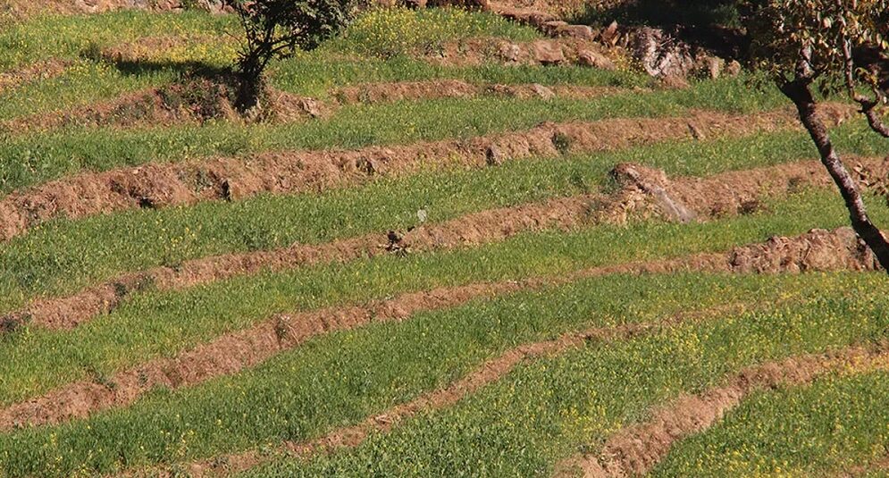 काभ्रेमा १५१ किसानलाई राहत उपलब्ध गराउन सिफारिस