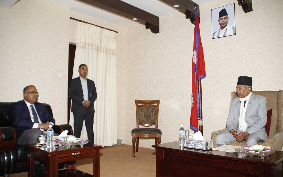 उपराष्ट्रपति यादवसँग भारतीय निमित्त राजदूत पाण्डेको शिष्टाचार भेट