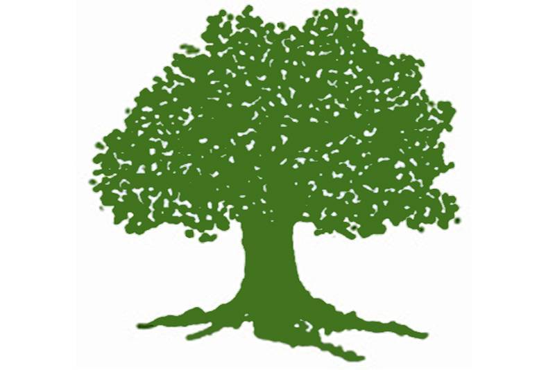 कांग्रेसले टुंग्यायो हिमाली जिल्लाको उम्मेदवारी