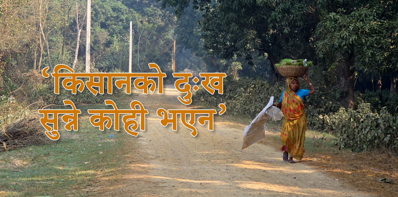 उम्मेवार मत माग्दै, किसान मल