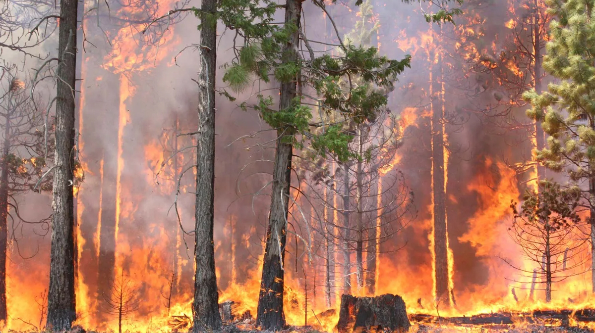 डढेलोको उच्च जोखिममा चितवन