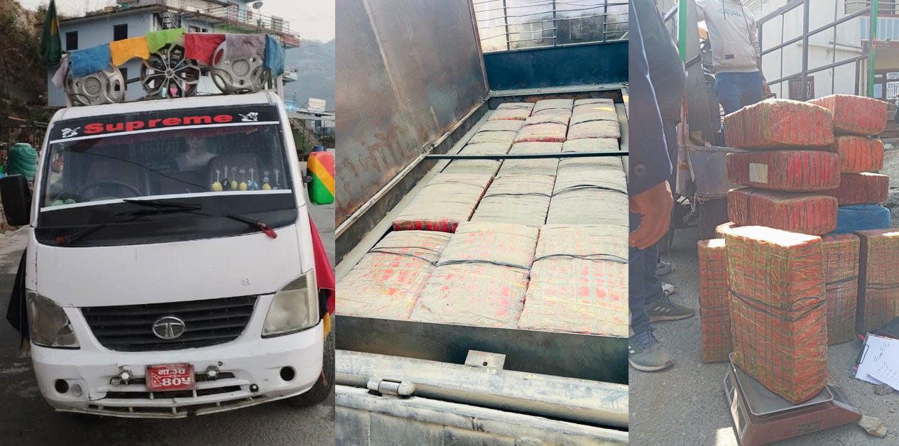 ललितपुर बगुवाको जंगलबाट १५३ किलो गाँजासहित चालक पक्राउ