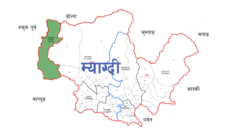 जंगलमा लुकाइ राखेका बेवारिसे अवस्थामा दुई थान भरुवा बन्दुक फेला