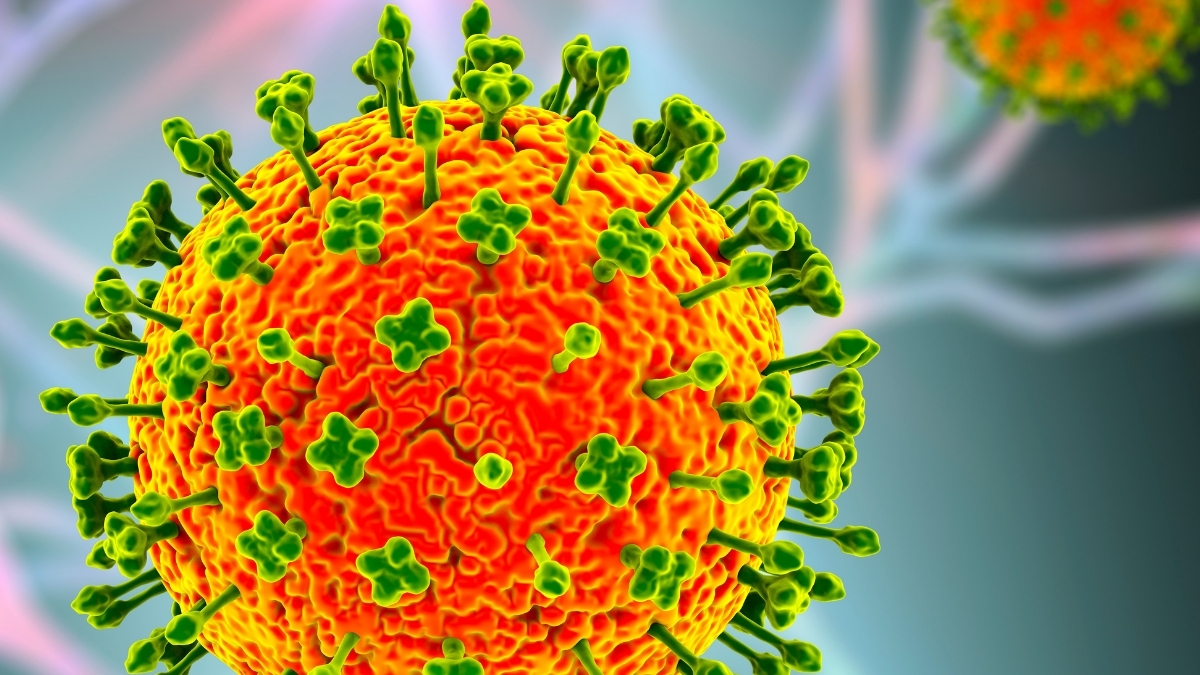 निपाह भाइरसबारे स्वास्थ्य मन्त्रालयको धारणा : नागरिकको स्वास्थ्य सुरक्षामा प्रतिबद्ध