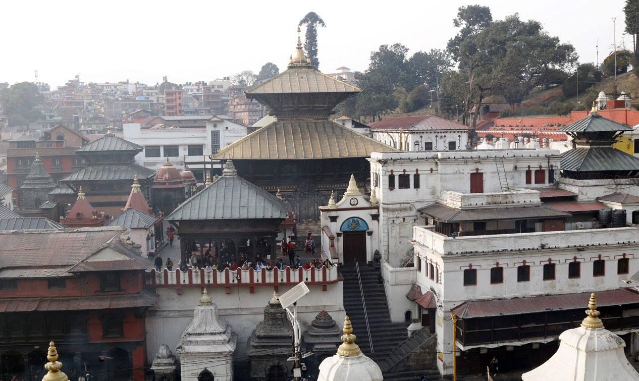 शिवरात्रिको तयारी : पशुपतिनाथमा रङरोगन र सफाइ