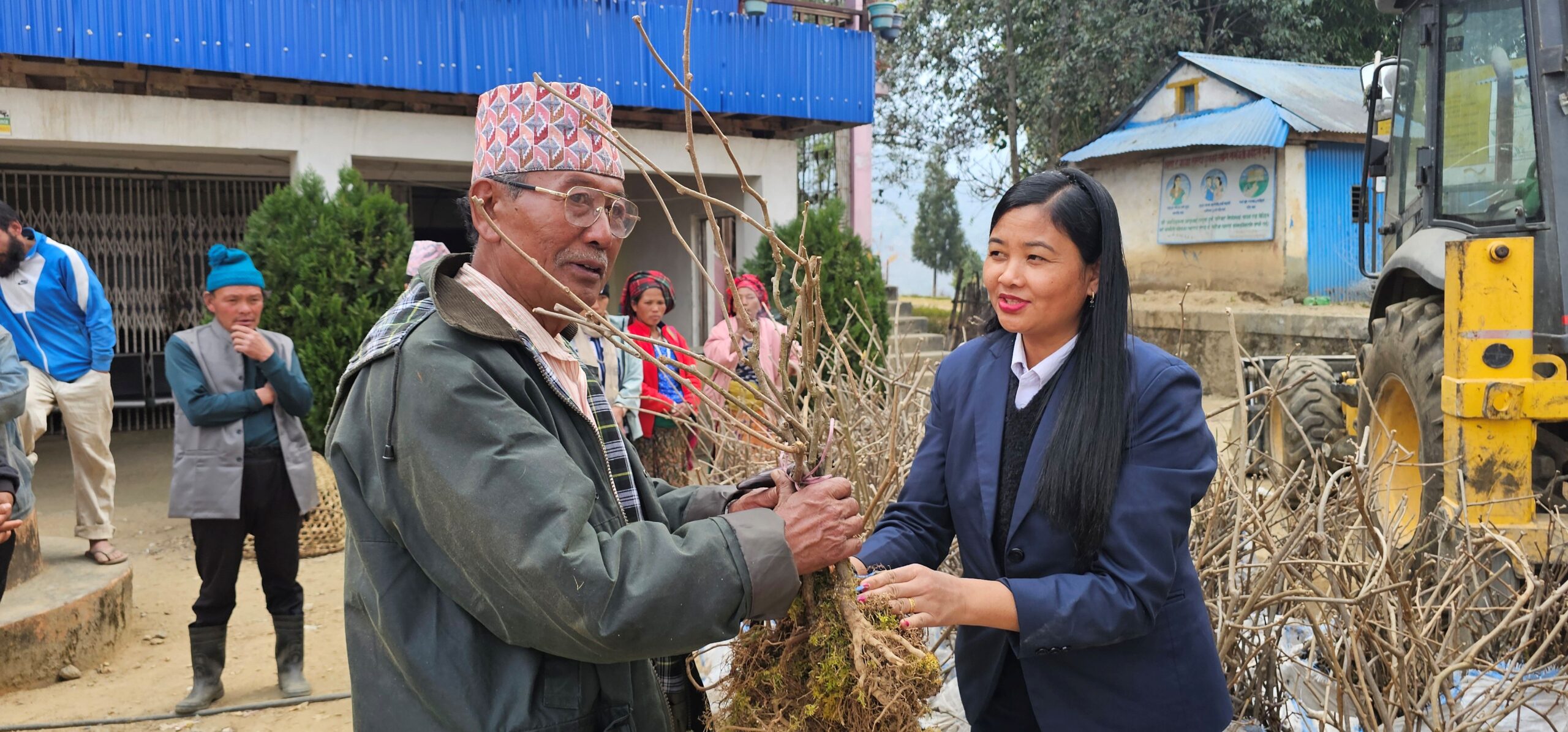 मैवाखोलाद्वारा किबीका बिरुवा वितरण
