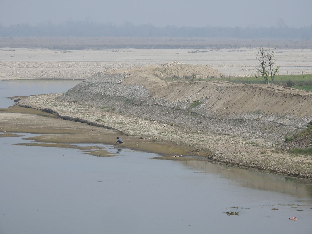 तटबन्ध निर्माणपछि सुरक्षित बन्यो कुतियाकवर