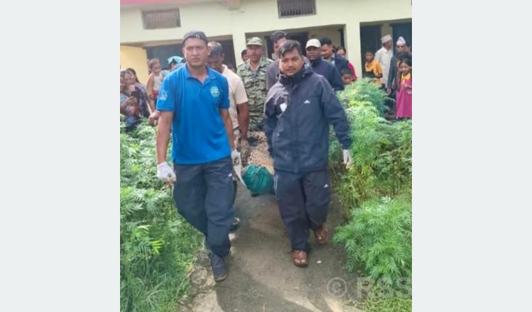 समस्याग्रस्त वन्यजन्तु नियन्त्रणमा लिन प्राविधिक टोली परिचालन