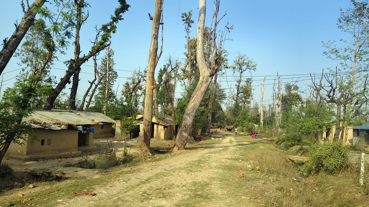 सुकुम्वासीलाई हरेक निर्वाचनमा लालपुर्जाको आश्वासन