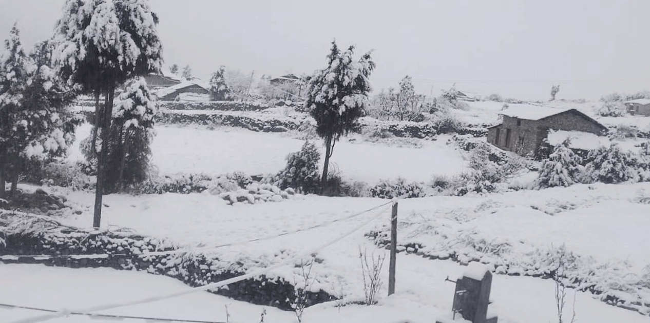 बाजुराको उच्च भेगमा वर्षासँगै हिमपात‚ किसान खुसी