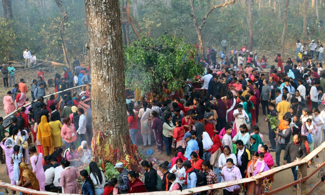 चैत ५ गतेदेखि १९ सम्म कसरास्थित विक्रमबाबा पूजा