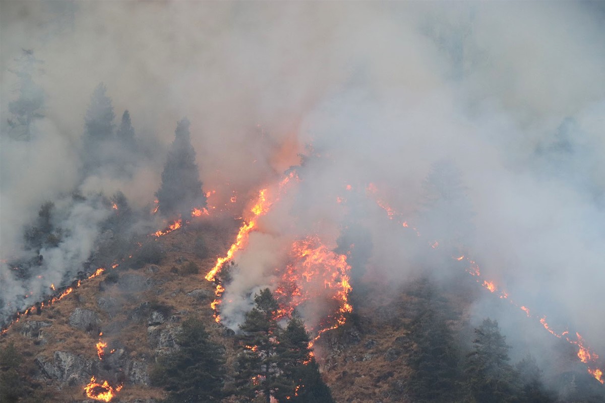 छुटिरहने पर्यावरणीय मुद्दा