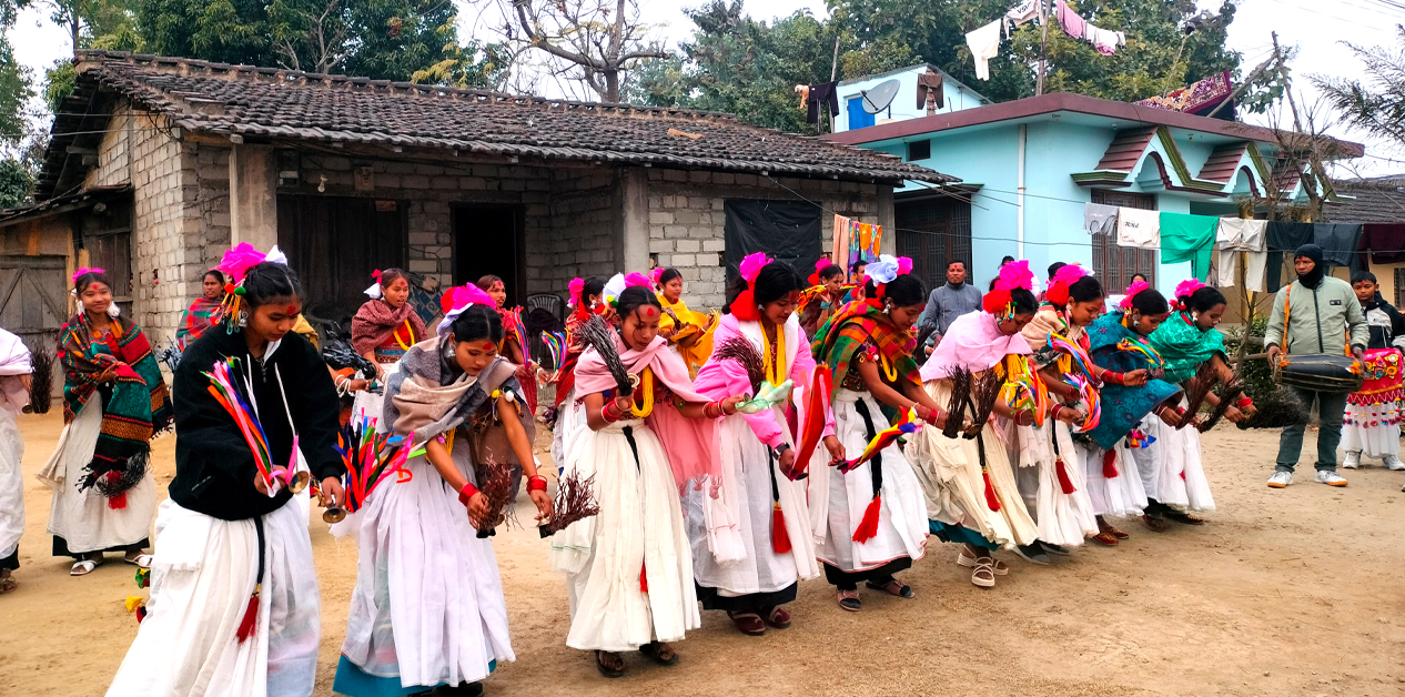 तल्लो सदनमा घटेको थारू प्रतिनिधित्व