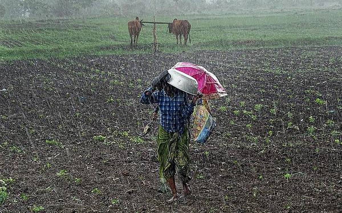 हिउँदे बर्सातले किसानमा खुसी र उत्साह