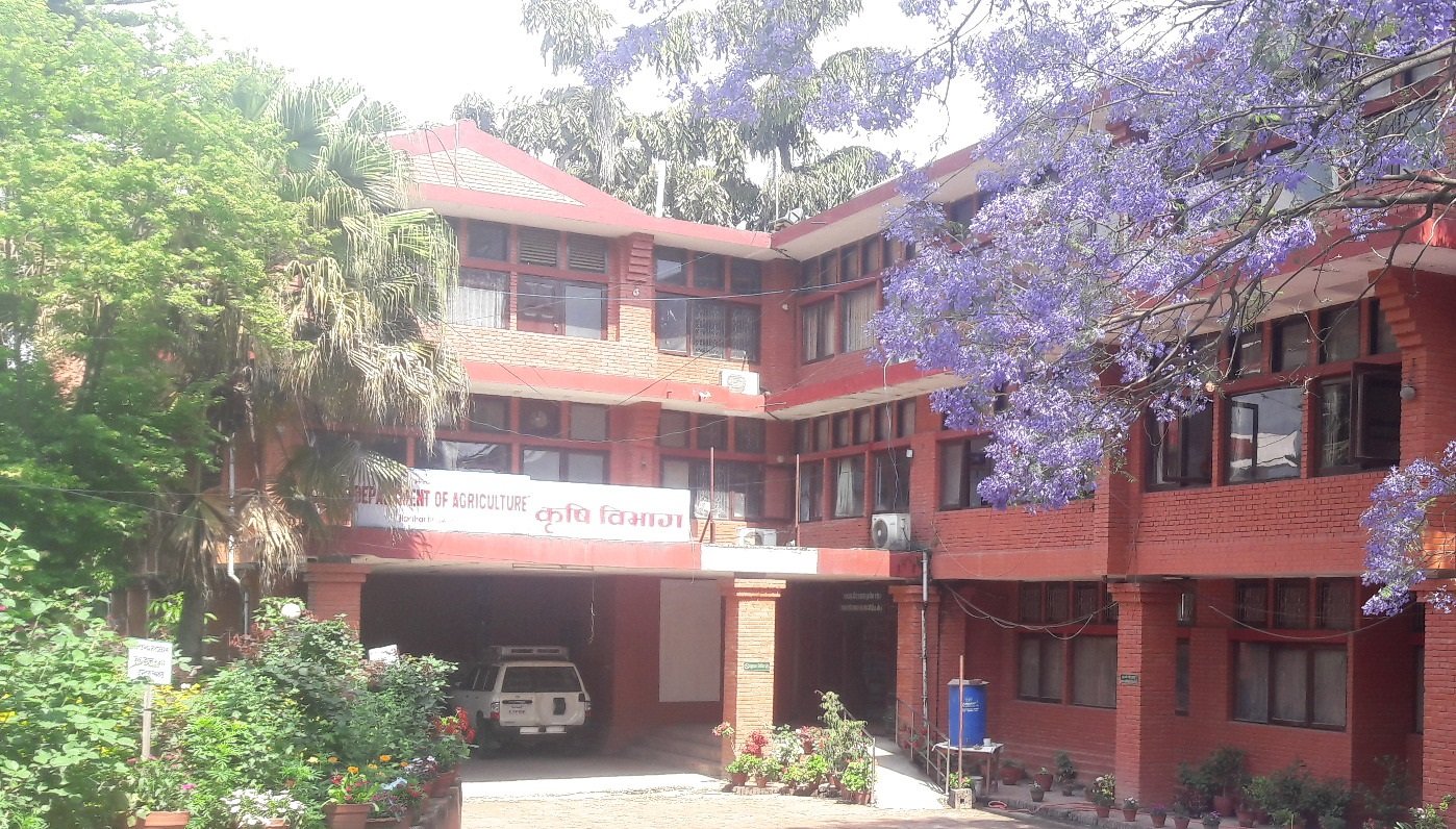 चैते धानको समर्थन मूल्य तोक्न अध्ययन सुरु