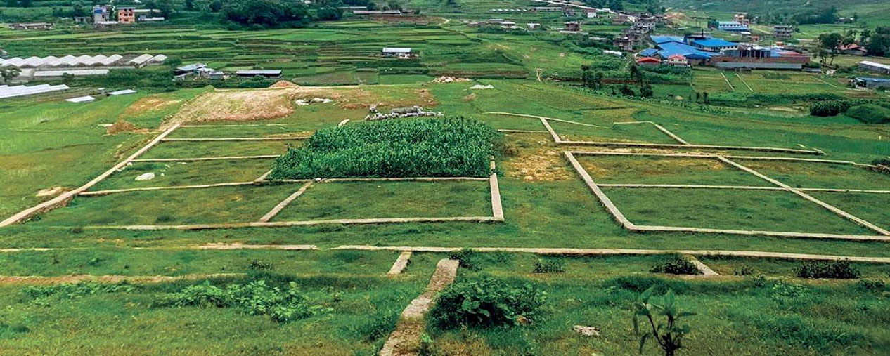 मधेसमा जग्गाको कारोबार बढी‚ कर्णाली र सुदूरपश्चिममा कम