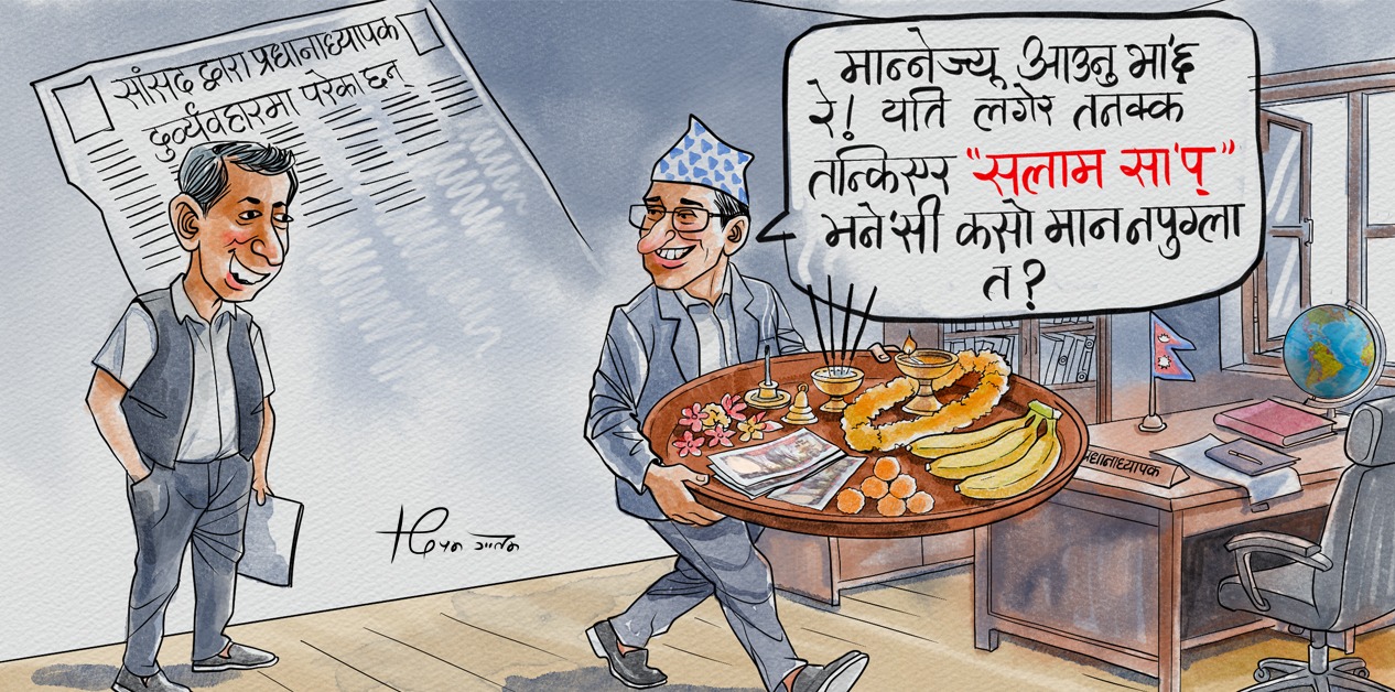 साताको कार्टुन