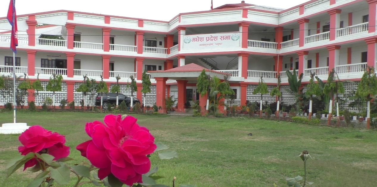 अलपत्र कामकाजी भाषा