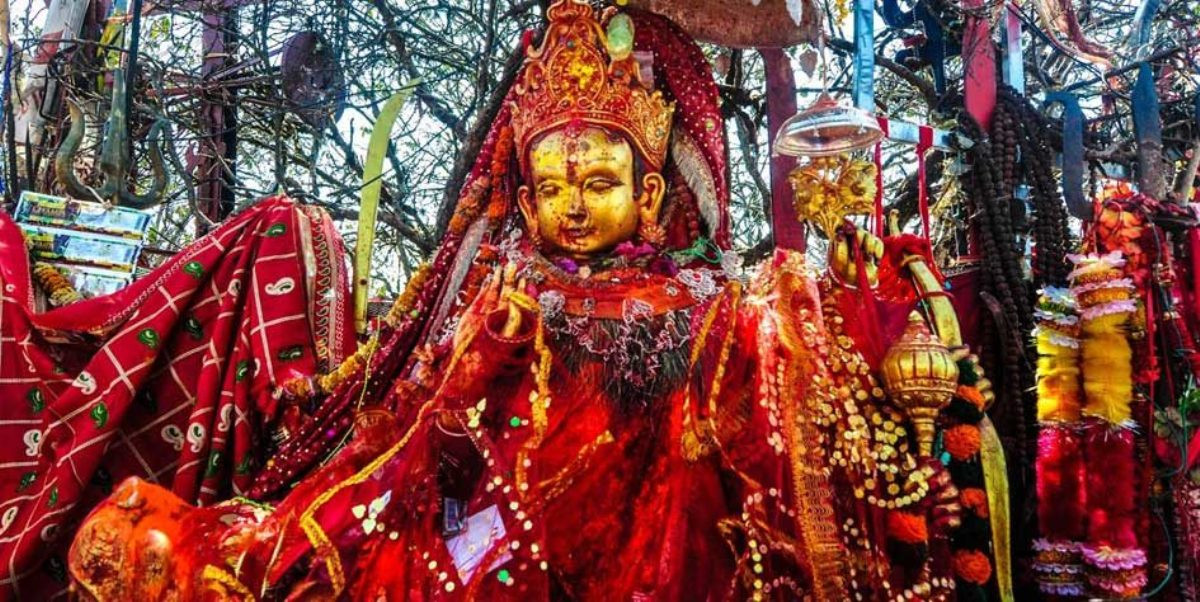 जेठ महिनामा पाथीभराबाट ४६ लाख बढी भेटी सङ्कलन