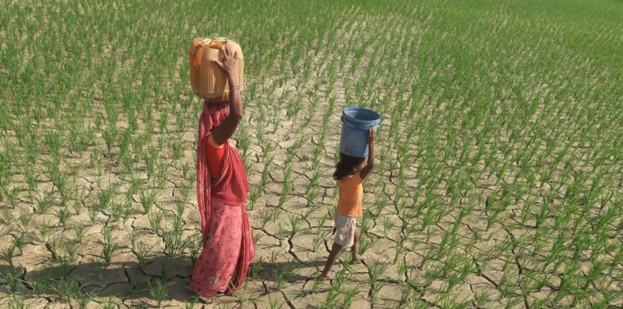 ‘एल निनो’ संकट