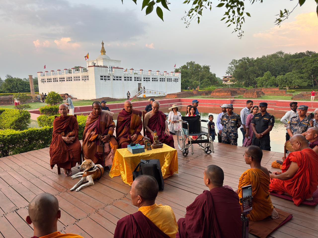 शान्तिको सन्देश बोकेर हजारौं माइल पैदल यात्रा गर्ने बौद्ध भिक्षुहरु बुद्ध जन्मस्थल लुम्बिनीमा