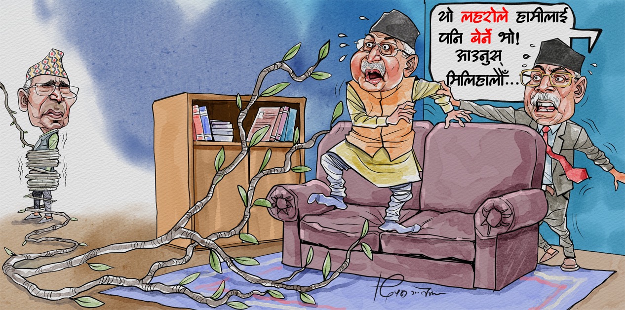 साताको कार्टुन