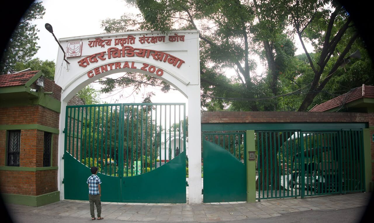 बर्डफ्लु संक्रमण लुकाएको आरोपमा चिडियाखानाका प्रमुख बर्खास्त