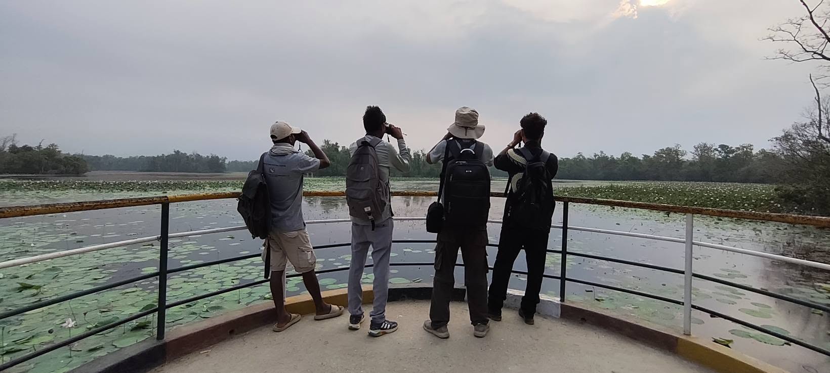 घोडाघोडी सिमसार क्षेत्रमा सूचक प्रजाति हरिहाँसको गणना सुरु