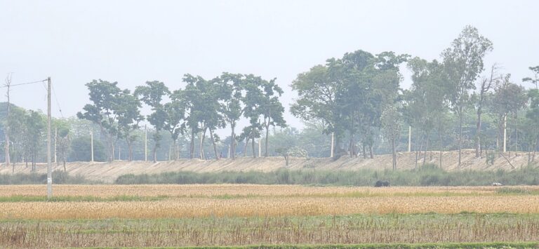 भारतले सीमा क्षेत्रको बाँध अग्लो बनाउँदा गौर डुबानको जोखिममा