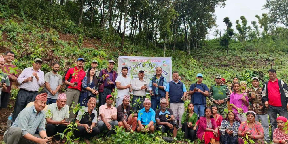 तनहुँका सामुदायिक वनमा रुद्राक्षको बिरुवा रोपन
